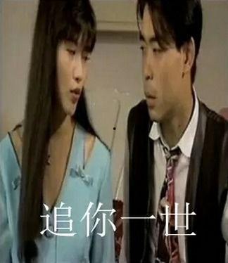 追你一世,追你一世的浪漫传奇